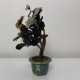 Arbre bouquet en pierre dure sculplté chine email cloisonné Chine XXe