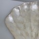 Vide de poche en forme de coquille coquillage nacre de Capiz véritable