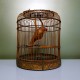 Cage à oiseaux en bois vintage avec son perroquet