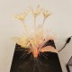 Lampe fleur vintage en fibre optique avec changeur de couleur
