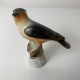 Oiseau en porcelaine céramique Herend Hungary 5046