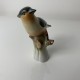 Oiseau en porcelaine céramique Herend Hungary 5046